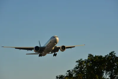 DSC_5706 (Large).JPG